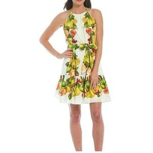Antonio melani dress